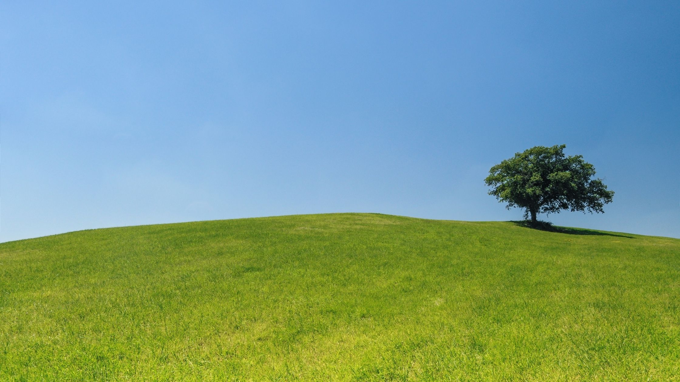 Vita da ecovillaggio… eccoci col Blog!