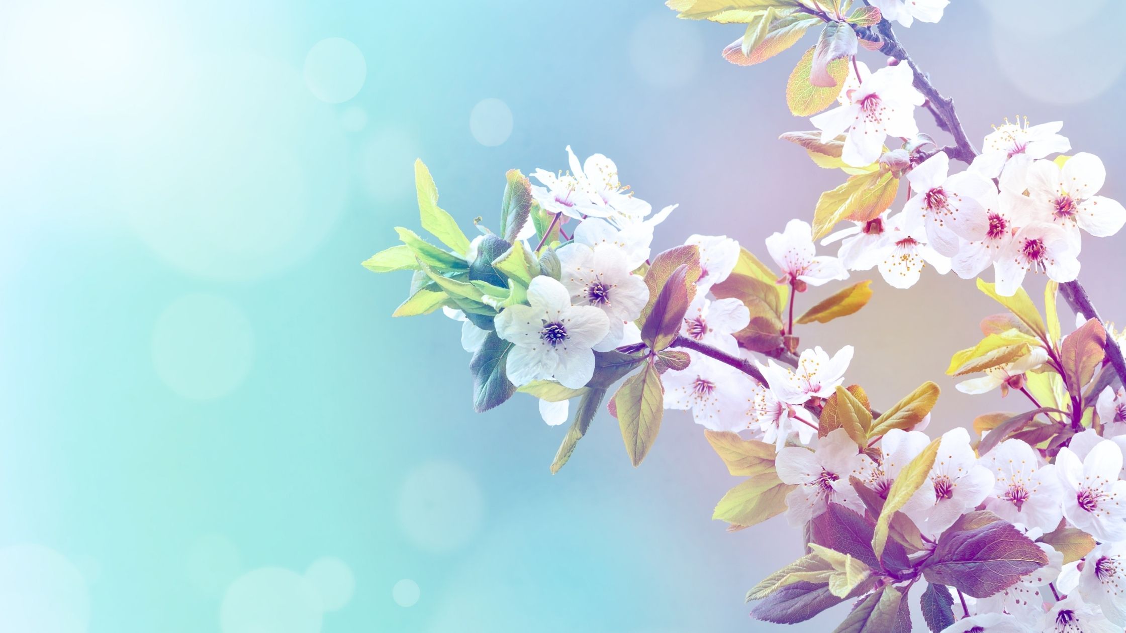 Stanchezza di primavera: 4 consigli per una rinascita felice